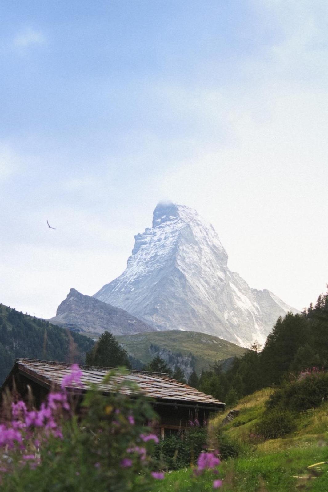 Studio Wolli - Stylish & Central - Steps To Matterhorn Gondola Zermatt Bagian luar foto